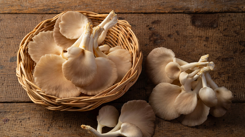 Oyster mushrooms in basket