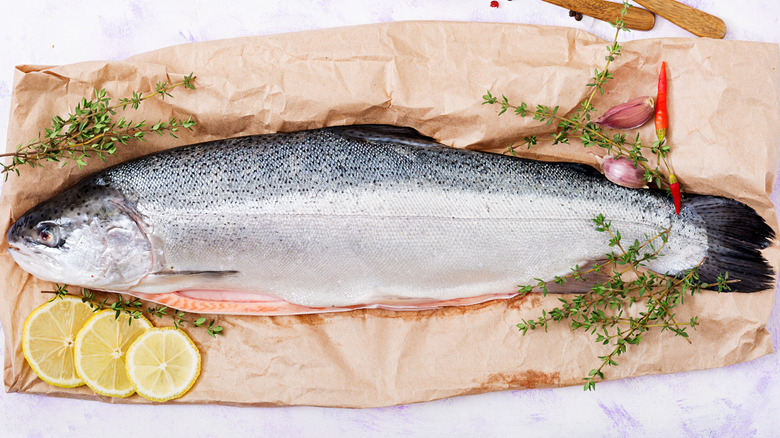 whole fresh fish on paper with aromatic ingredients