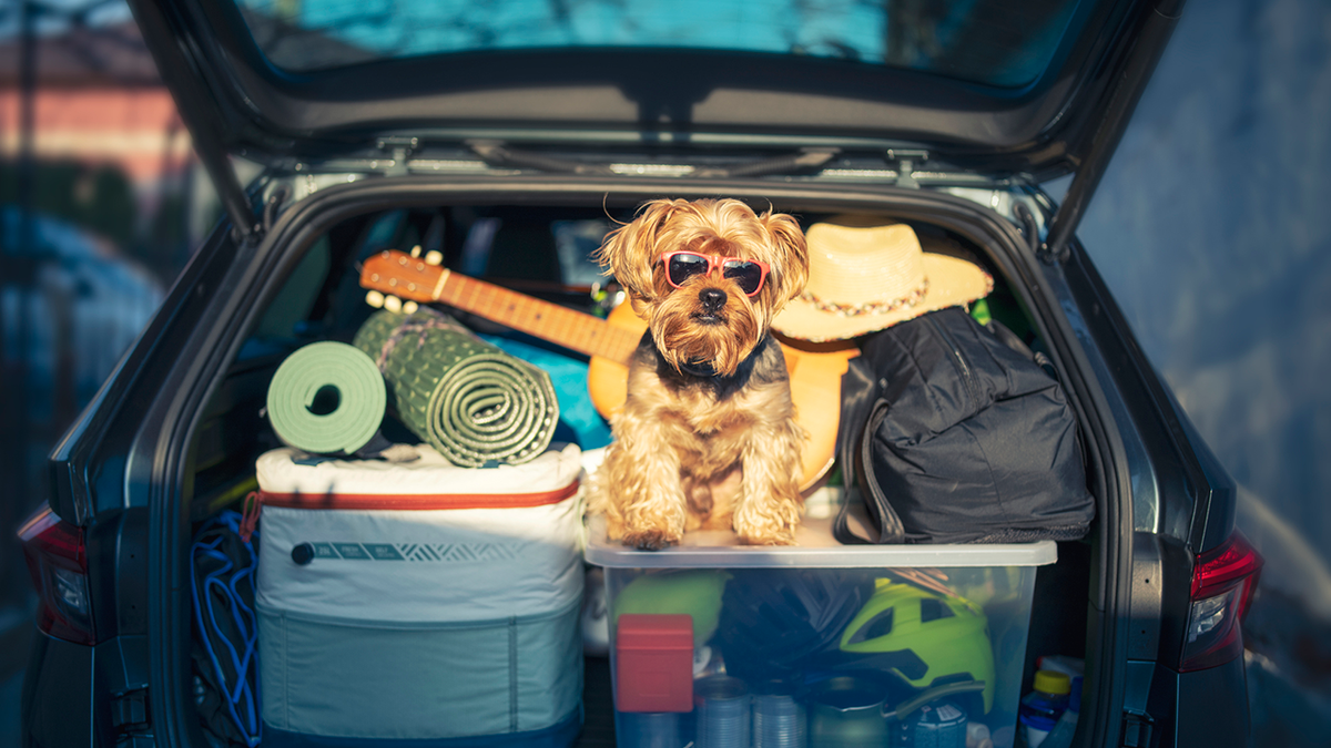 Social media users said they planned to try the hack on upcoming road trips this summer.