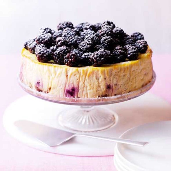 dish, food, cuisine, blackberry, dessert, berry, ingredient, torte, frutti di bosco, cake,