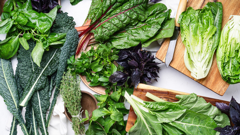 Assorted lettuces and salad greens on wooden chopping board with knife