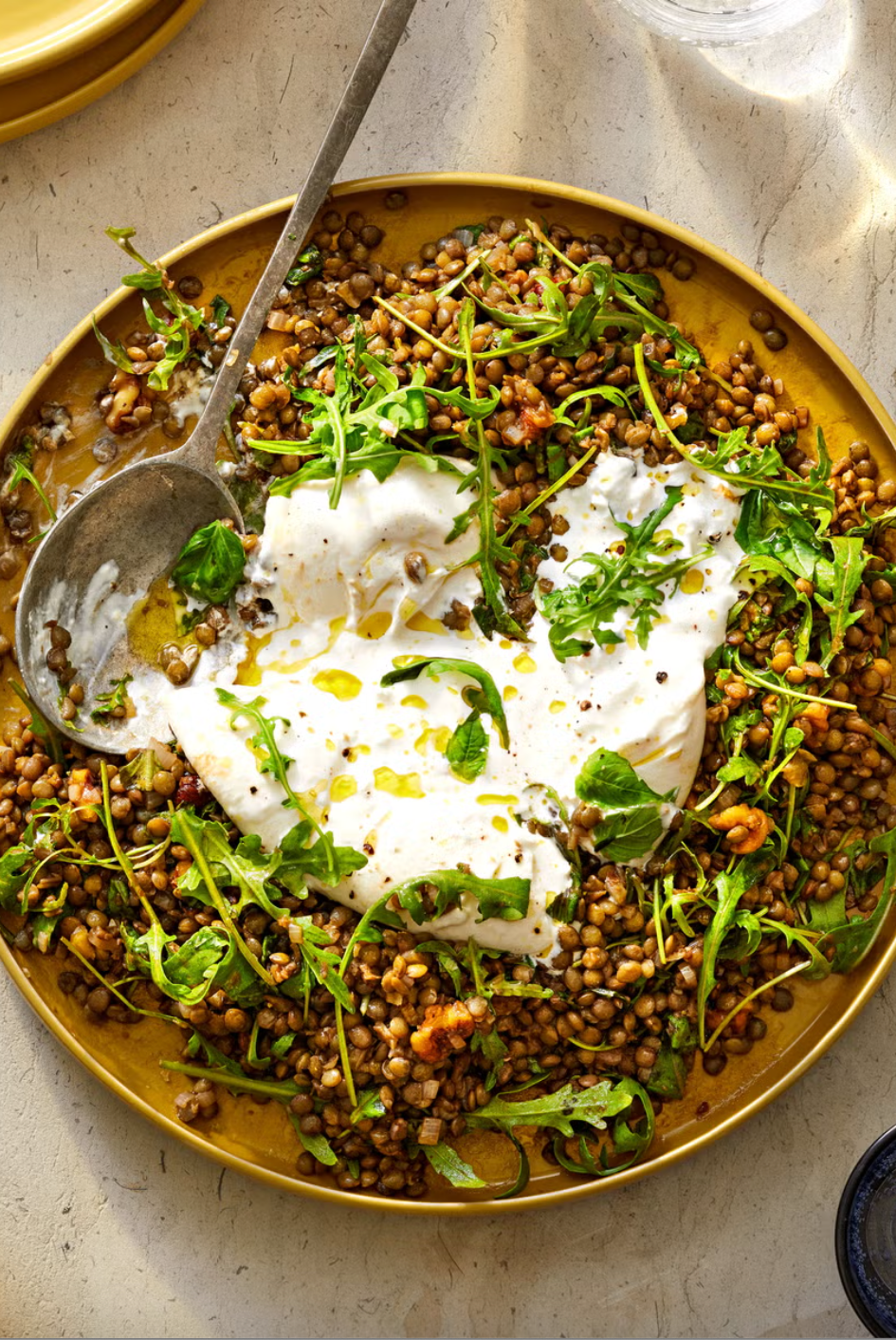 herby lentil and burrata salad