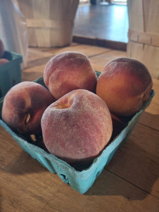 Hollis Hills Farm has fresh, tree-ripened peaches available, along with the option to "pick your own," COURTESY HOLLIS HILLS FARM