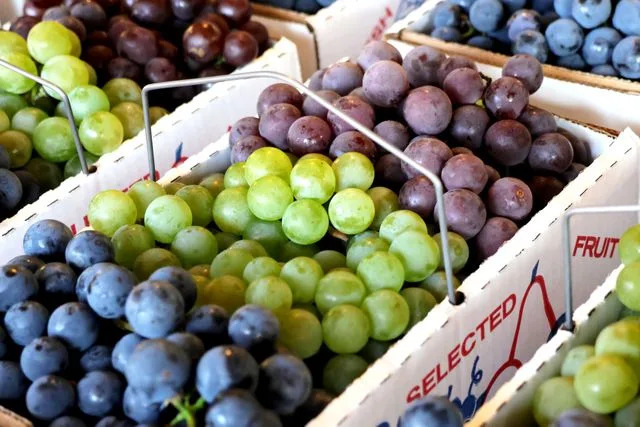 Courtesy of Finger Lakes Tourism Alliance