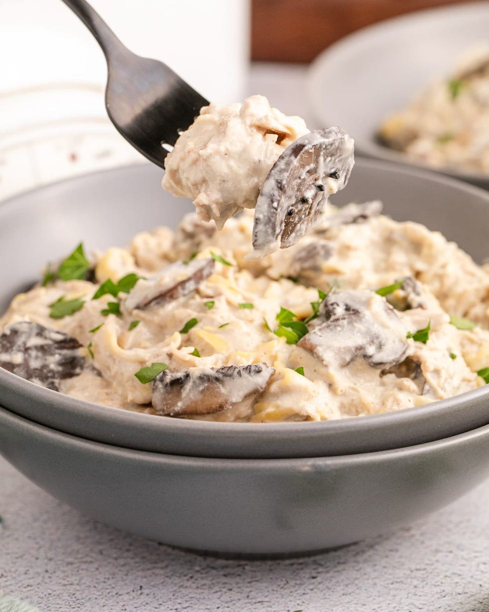 slow cooker chicken recipes slow cooker chicken recipes stroganoff