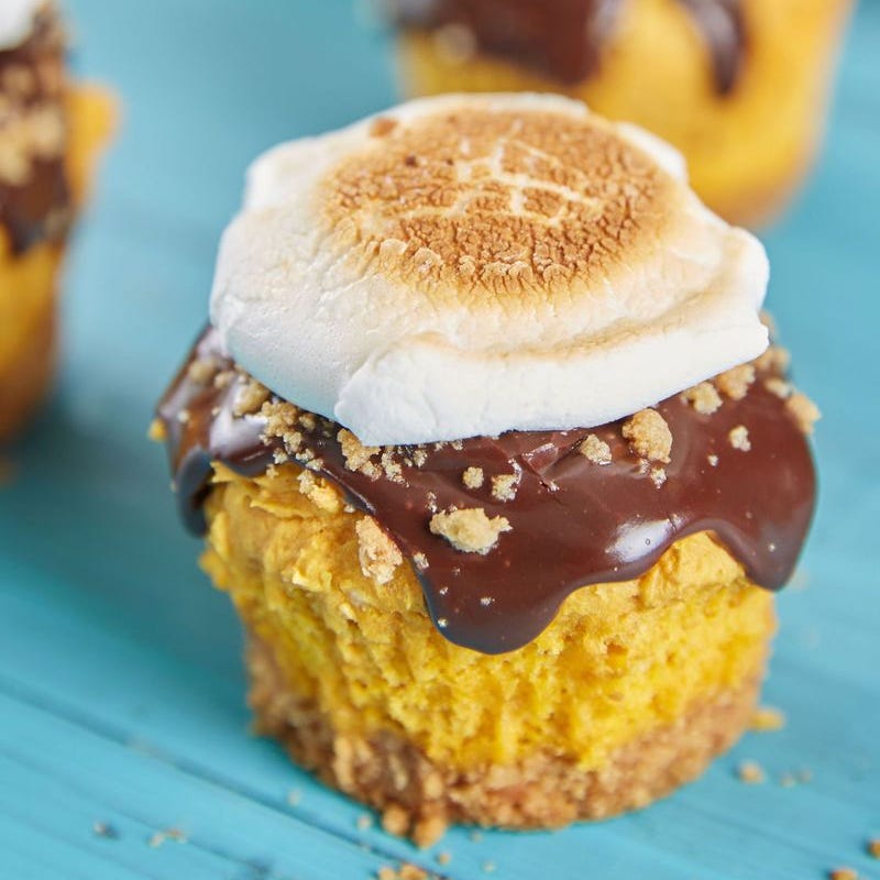 thanksgiving cupcakes s'mores pumpkin cupcakes