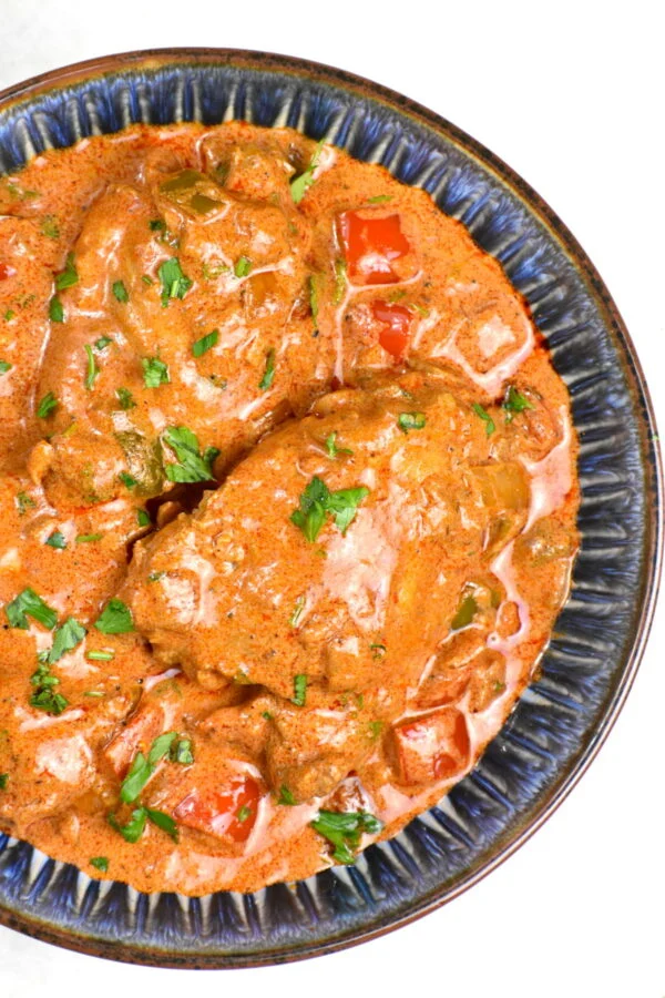 Bowl of chicken paprikash.
