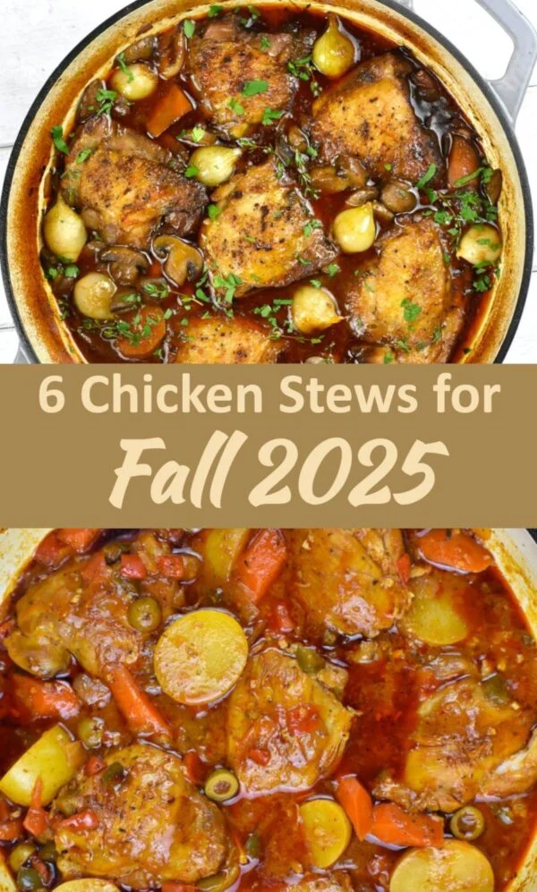 2025 chicken stew recipes pin