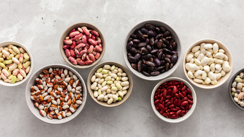 Assorted bowls of varieties of beans